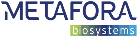 Métafora