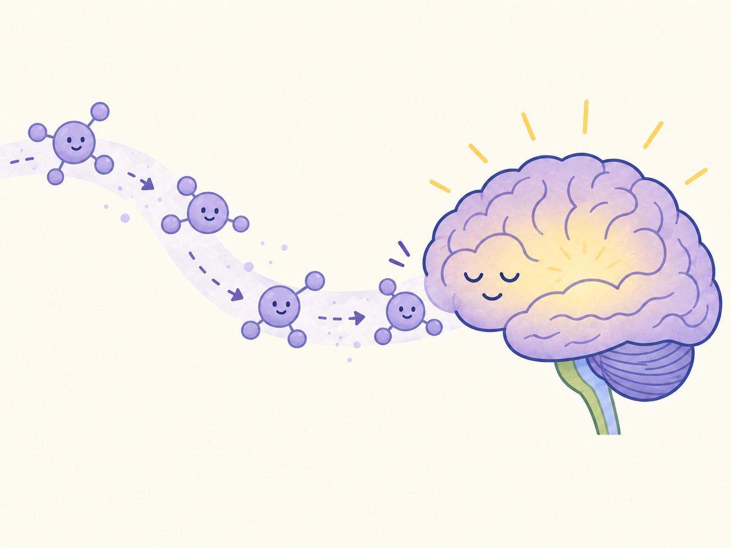 Schéma : le lactate, nouvelle énergie pour le cerveau
